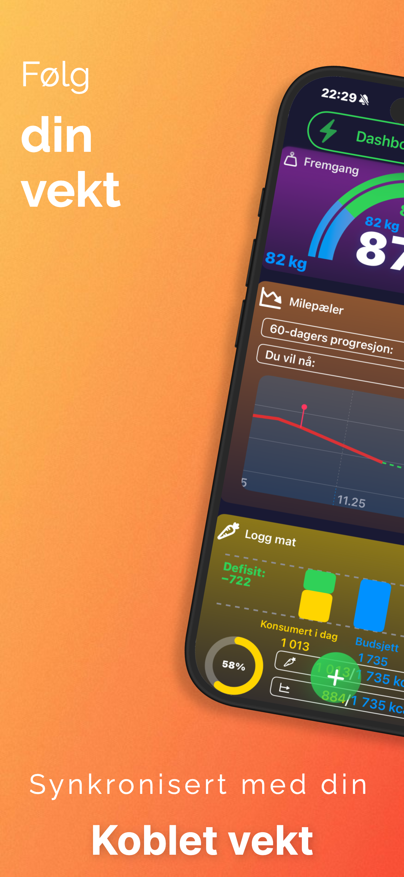 LyteFast screenshot 1